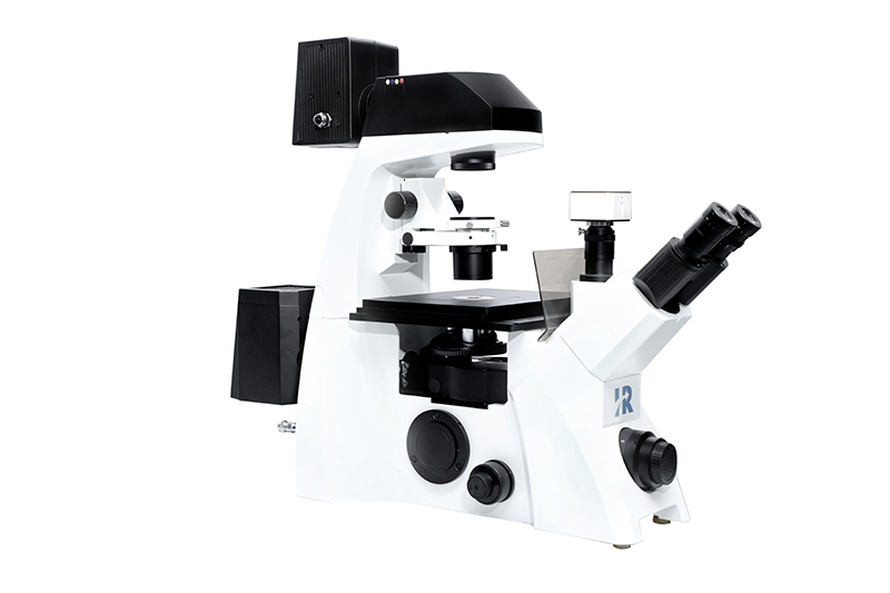 What are the common types of optical microscopes?