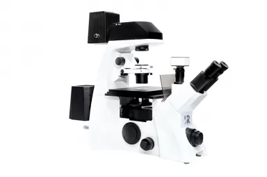 What are the common types of optical microscopes?