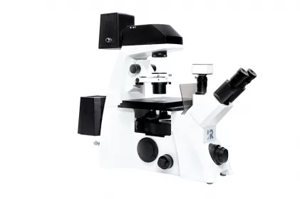 What are the common types of optical microscopes?